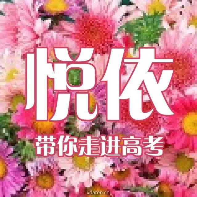 悦依