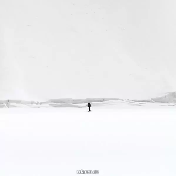 牛衣古柳