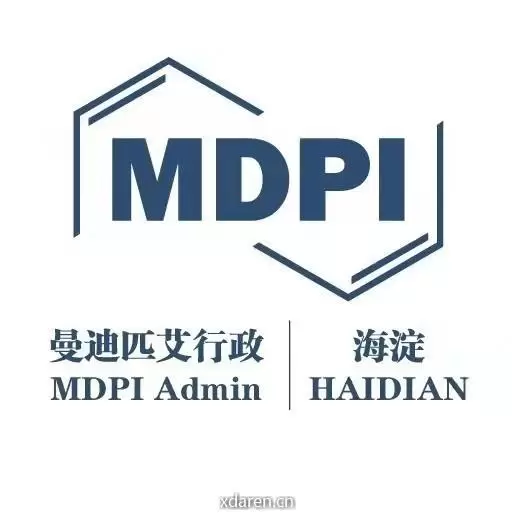 曼迪小分队