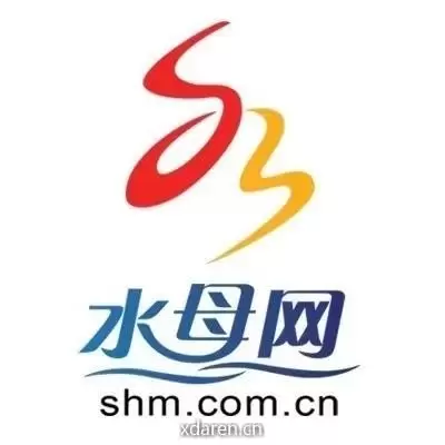 烟台水母网