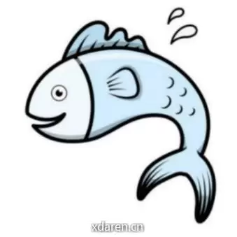 大马哈投资