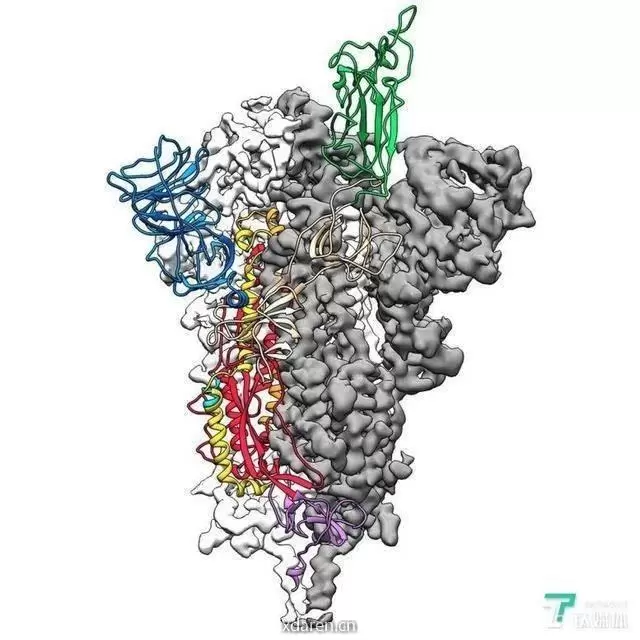 IVDdiagnosis