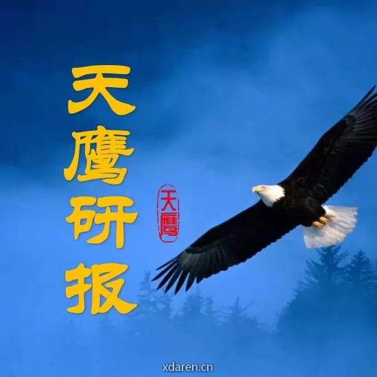 天鹰研报