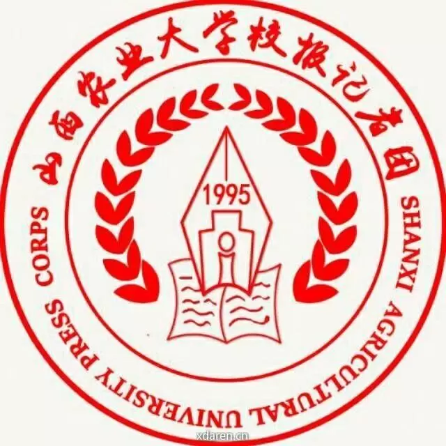 小报团团