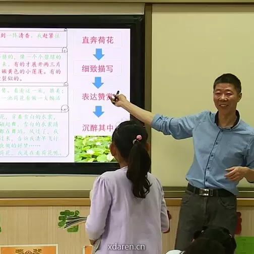 我在小学教语文