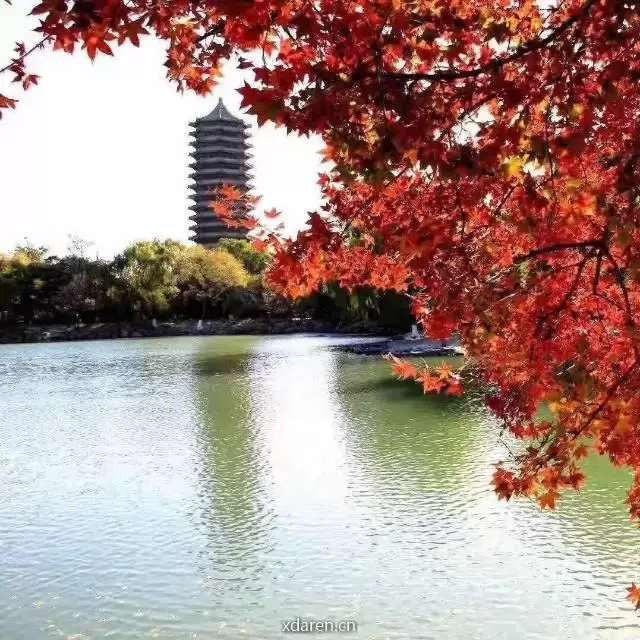 劳燕东飞