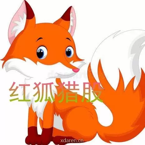 红狐猎股