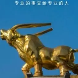 市场透视