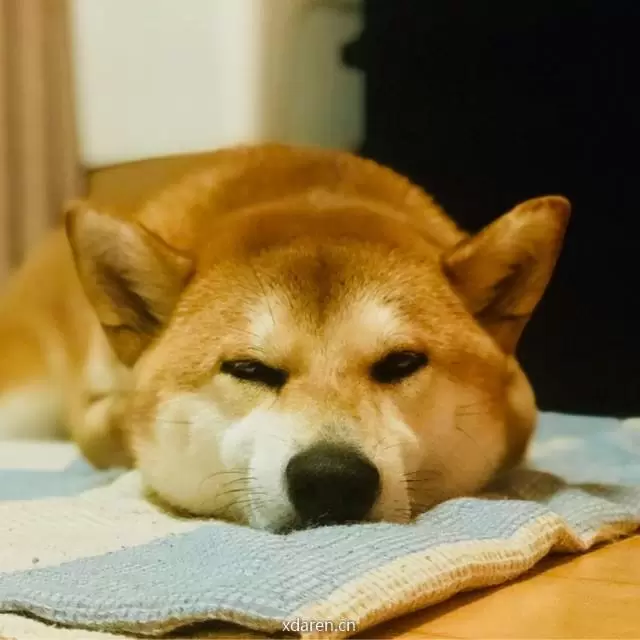 起朱楼宴宾客