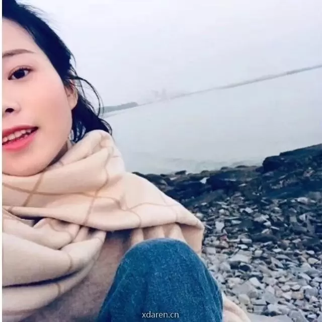 东财点金