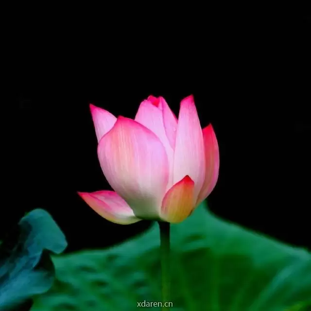 交易法门