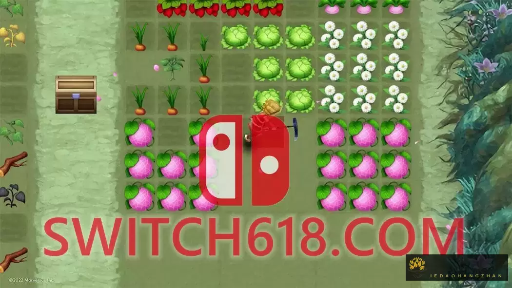 符文工坊3|本体+1.0.4补丁+7DLC|中文|Rune Factory 3 Special 2 符文工坊3|本体+1.0.4补丁+7DLC|中文|Rune Factory 3 Special