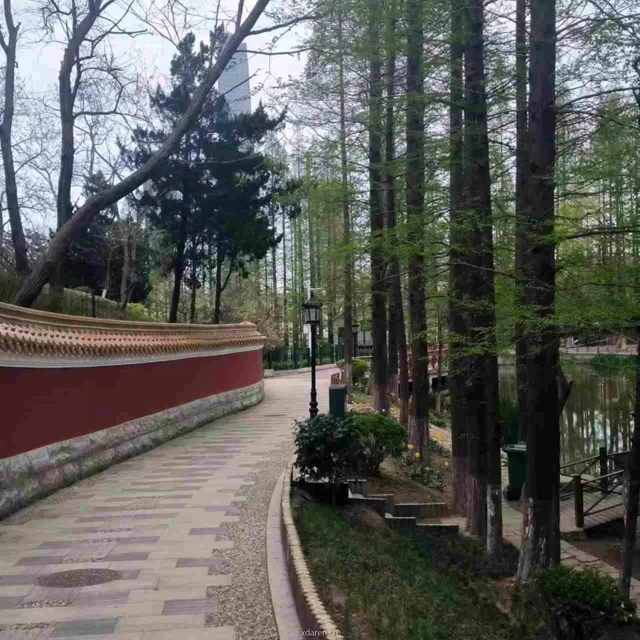 tz主任答疑解惑
