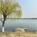 职场夏夏