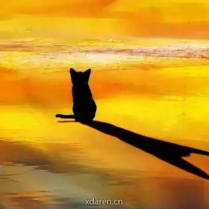 it梦锅