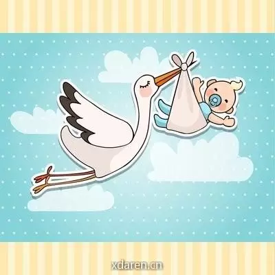 鹳鸟爱宝宝