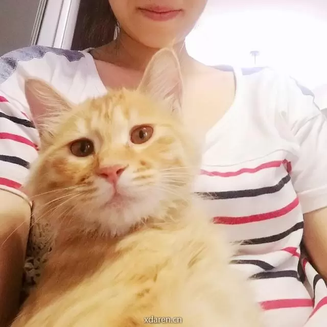 金子自留地