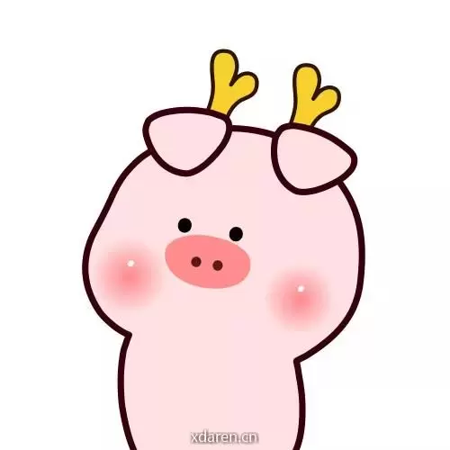 IQ前端