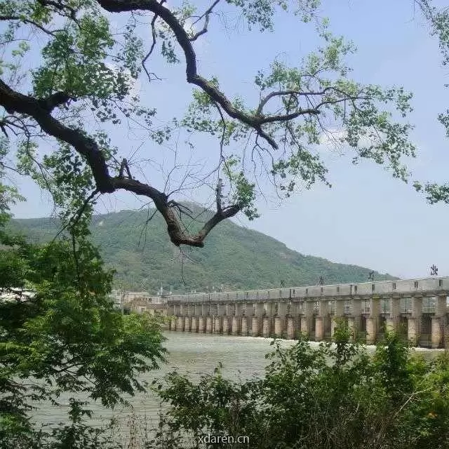 漳江乡情