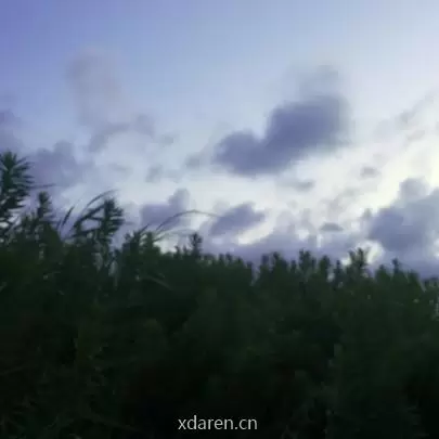 债券球