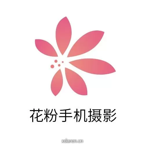 花粉手机摄影