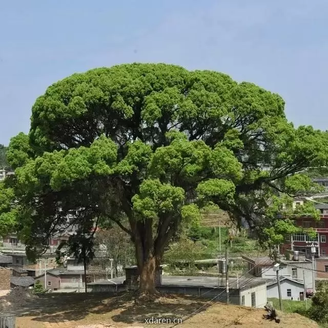 凌云作坊