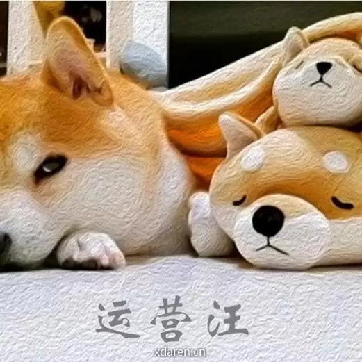 运营汪成长日记