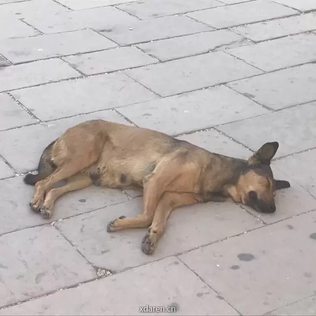 开始聊聊交易