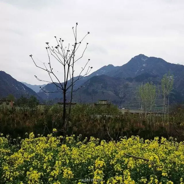 芥子时空