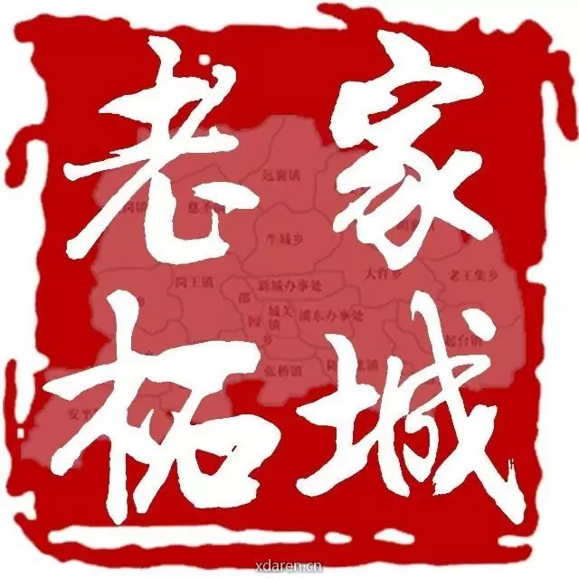 老家柘城