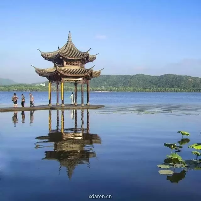 清秋短评