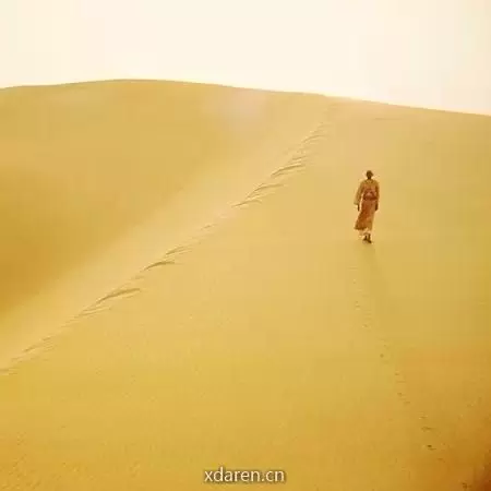 玄圃小拙