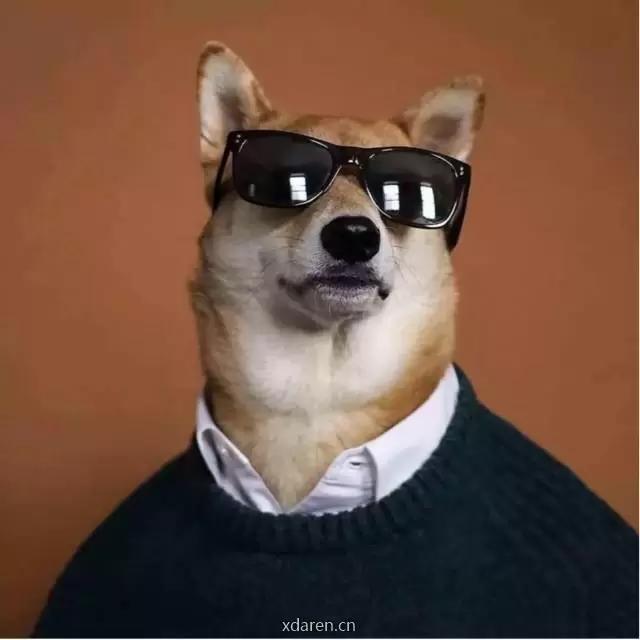 土木狗总