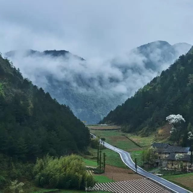 野乡风物志