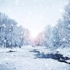 Pure丶White