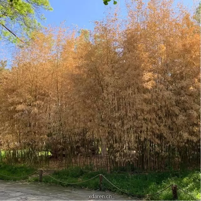 过程的意义