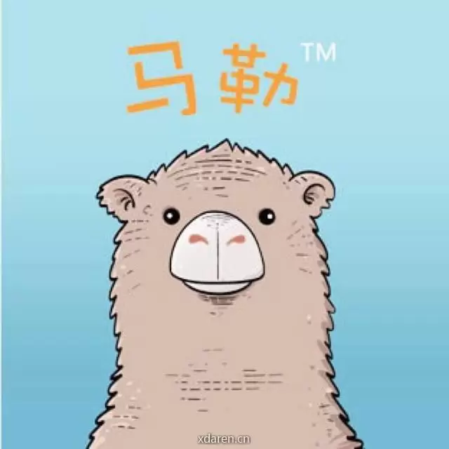 社长从来不假装