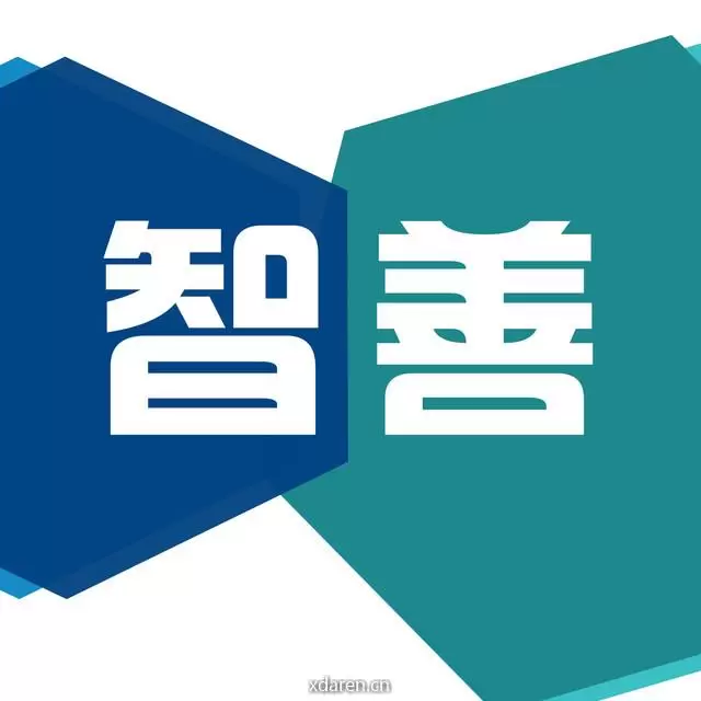 智善