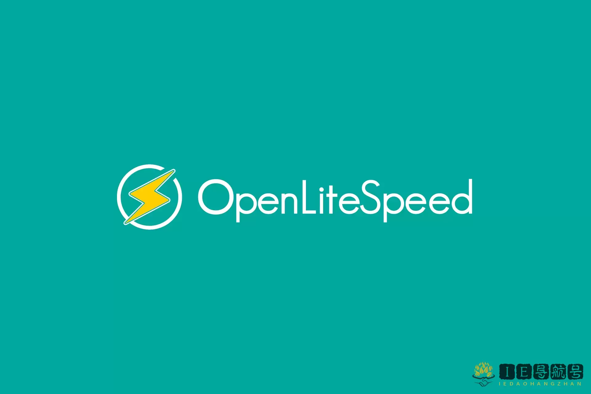 OpenLiteSpeed Web 服务器