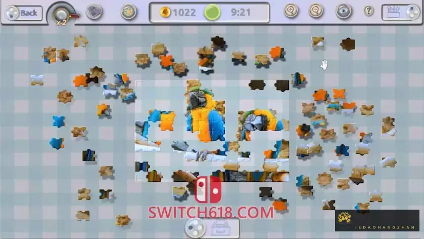 快乐拼图：神奇的动物|官方中文|NSZ|原版|Jigsaw Fun: Amazing Animals