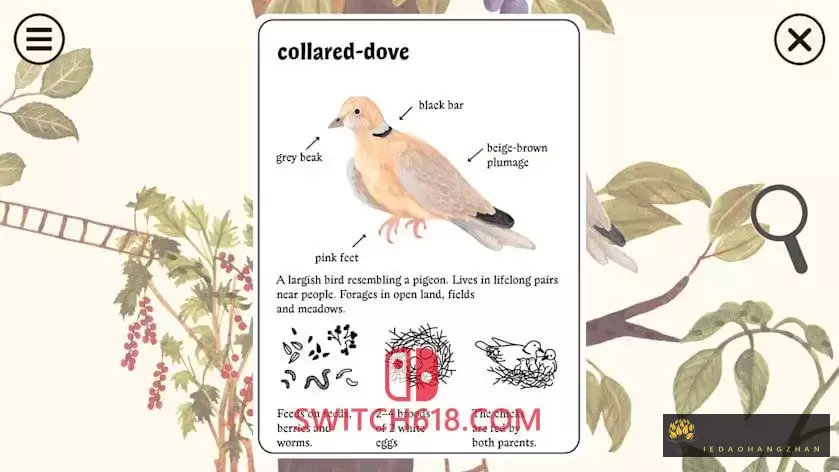 小老鼠的百科全书|官方中文|本体+1.0.3补丁+3DLC|NSZ|原版|Little Mouse’s Encyclopedia