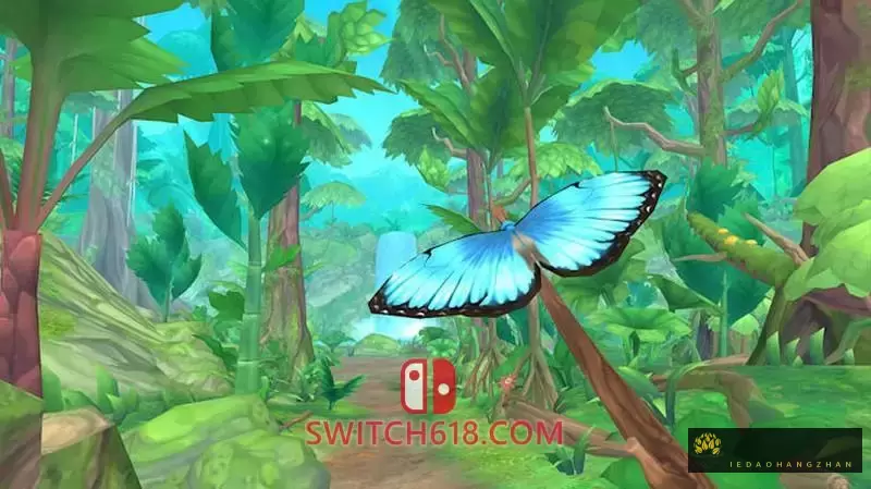 彩翼：雨林梦蝶|V1.0.0|中文|NSZ|Flutter Away