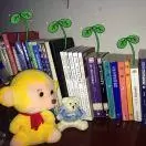 梦娃爱读书
