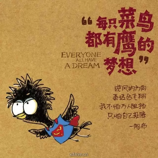 菜鸟追剧