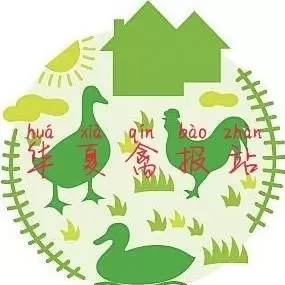 禽报站