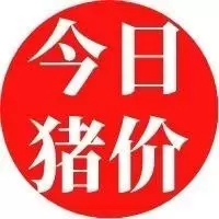 查猪价行情