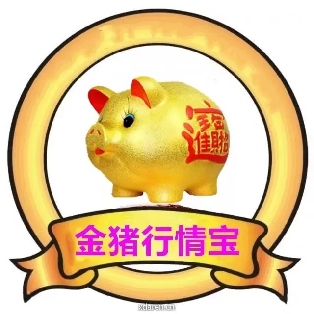 金猪行情宝