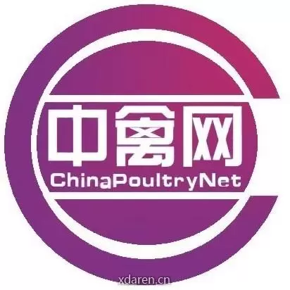 中禽网