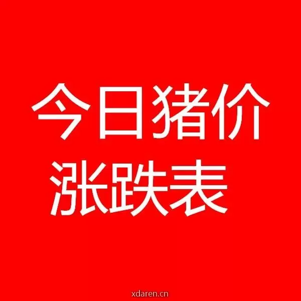 今日猪价涨跌表