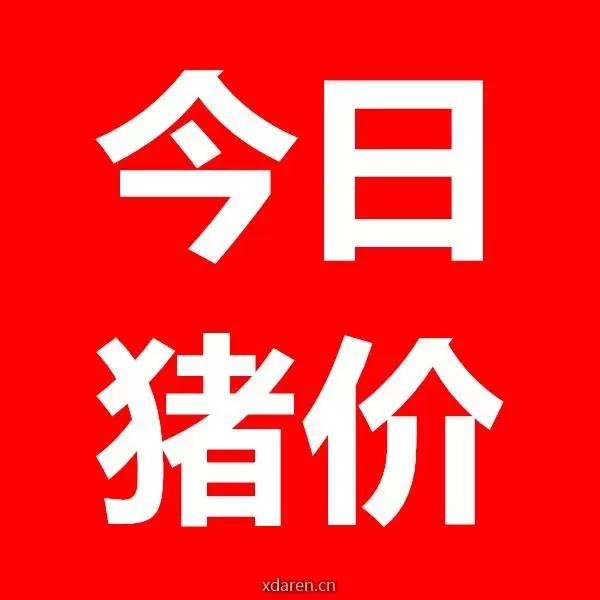 今日猪价行情价格表